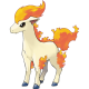 Ponyta