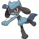 riolu