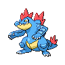 Feraligatr - Male